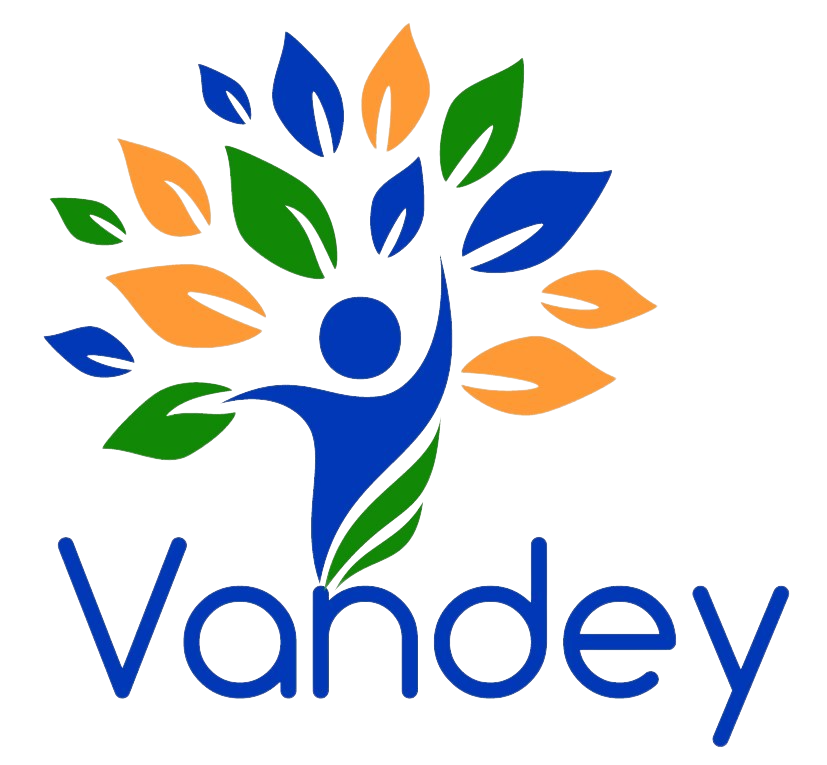 Vandey Global logo alternative