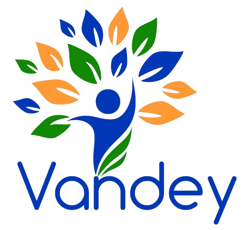 Vandey Global logo alternative